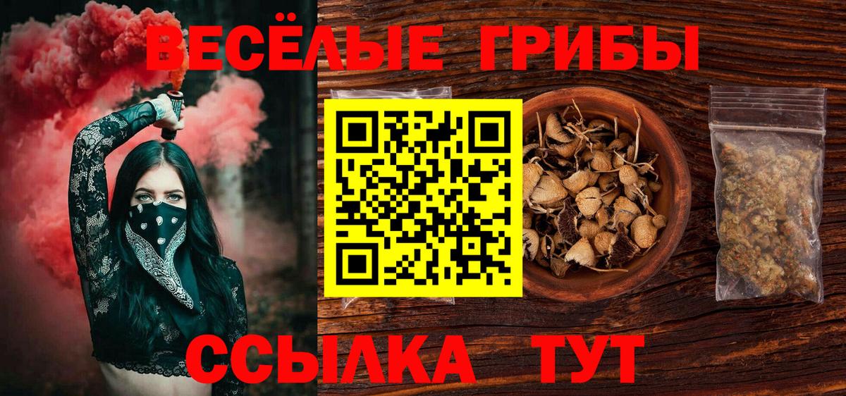 Псилоцибиновые грибы мицелий  Вход с VPN  Саратов 